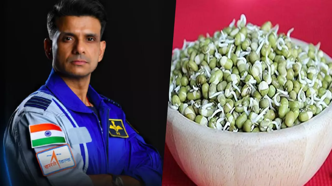 Shubanshu Shukla sprout experiment. File Photo