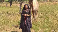 How Maldhari women are fighting family to co-own land in north Gujarat