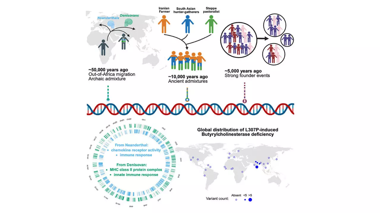 The DNA of India: How Neanderthal genes, ancient migrations, and caste shaped a billion people The DNA of India: How Neanderthal genes, ancient migrations, and caste shaped a billion people