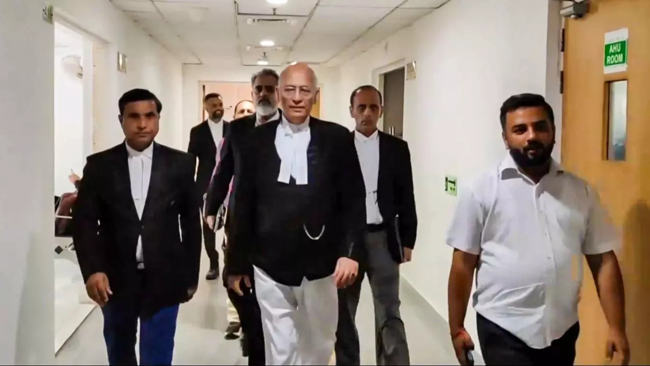 National Herald case: ED case very strange, Sonia Gandhi argues in court