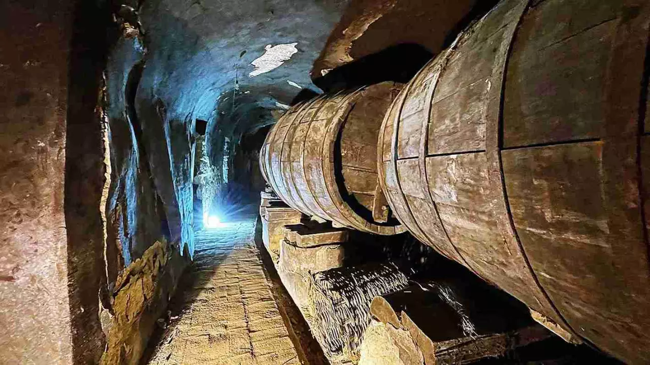 How Tempranillo travelled from Spanish cellars to Indian vineyards