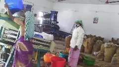 Millets in, middlemen out:  Tamil Nadu’s Veppur village women lead millet revolution