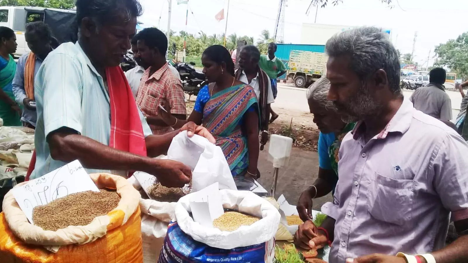 Farmers selling millets at the seed festival