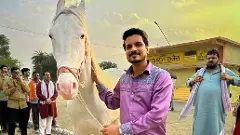 Aasif Khan, Ganesh of ‘Panchayat’, recovering after heart attack