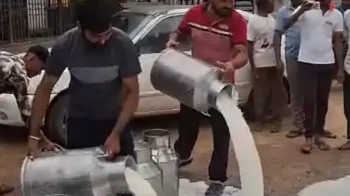 Sabar Dairy protest: Why Gujarat farmers are dumping milk on the streets