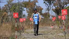 Prince Harry landmine Diana