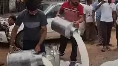 Sabar Dairy protest: Why Gujarat farmers are dumping milk on the streets