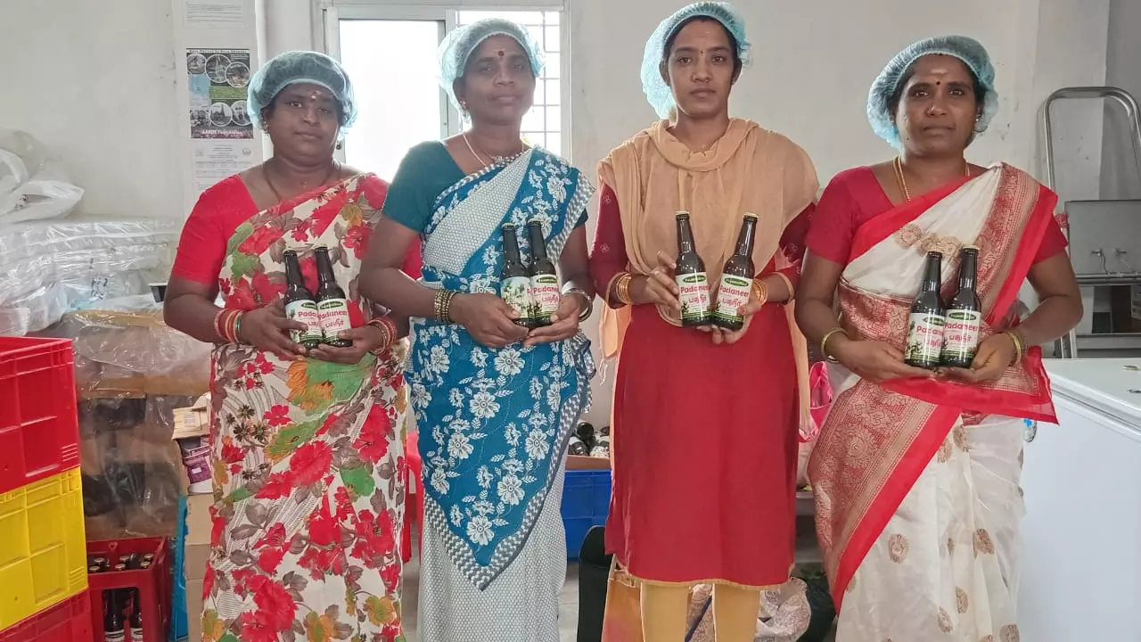 Pulicat women bottle palm nectar, revive Tamil Nadu’s neglected palmyra trees