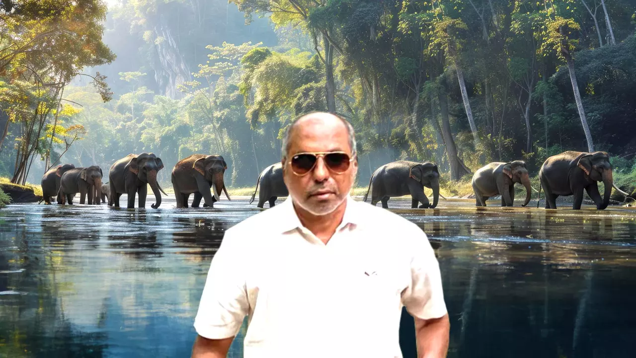 Prof D Narasimhan is a leading taxonomist and specialist in biodiversity, taxonomy, ethnobotany, medicinal plants and plant anatomy.