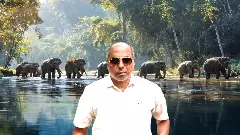 Prof D Narasimhan is a leading taxonomist and specialist in biodiversity, taxonomy, ethnobotany, medicinal plants and plant anatomy.