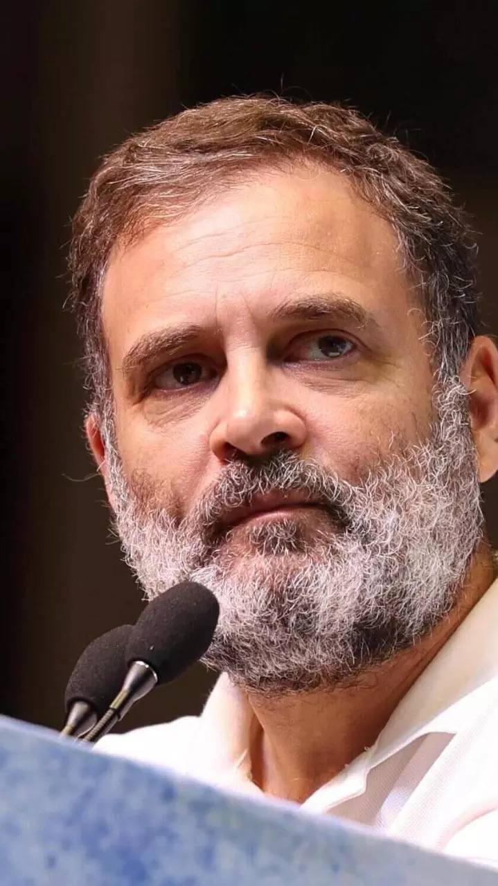 Rahul Gandhi addressing an OBC conference in Delhi Rahul Gandhi addressing an OBC conference in Delhi