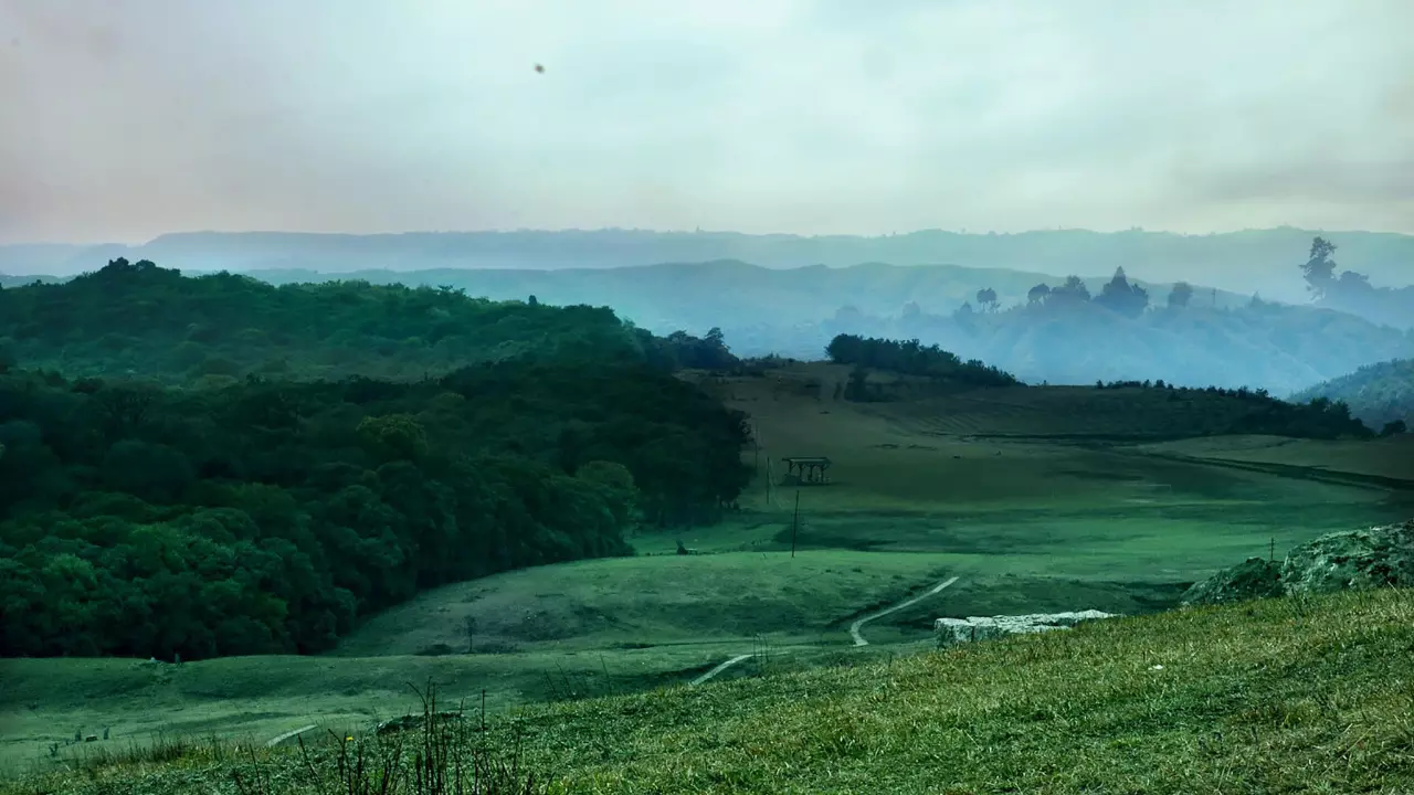 How India’s Sacred Groves are protecting biodiversity in a time of ecological crisis