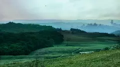 How India’s Sacred Groves are protecting biodiversity in a time of ecological crisis