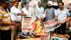 Trump tariffs, Protest