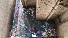 litter