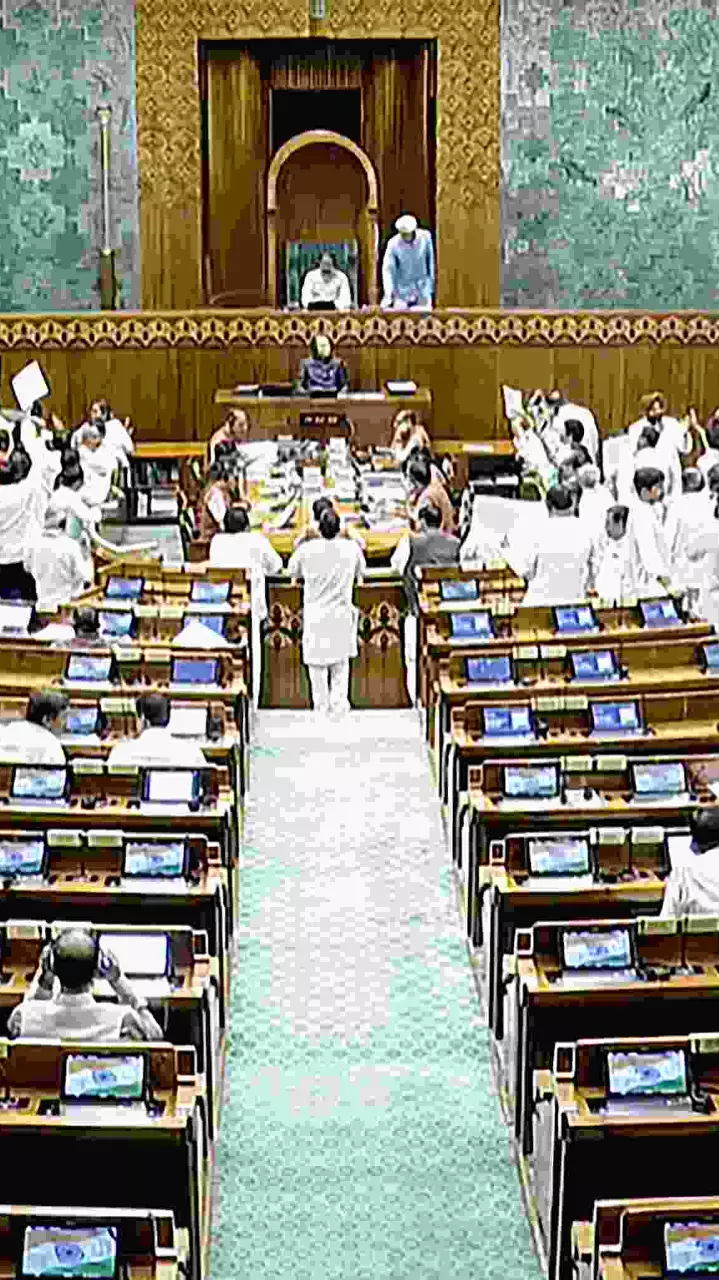Lok Sabha proceedings on Tuesday (August 19)