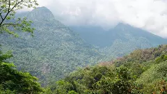 Nilgiris