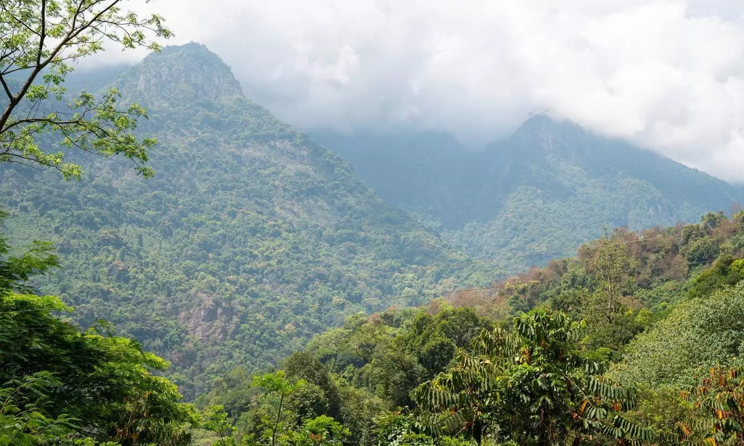 Nilgiris Nilgiris