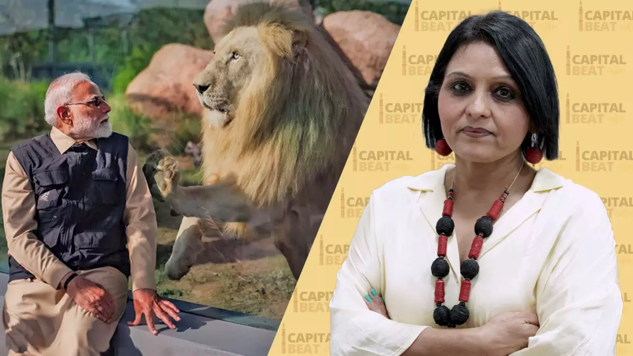 SC orders SIT probe into Reliance’s Vantara centre in Jamnagar