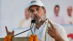 No relief for Rahul Gandhi as Allahabad HC rejects his plea in Sikh remarks case