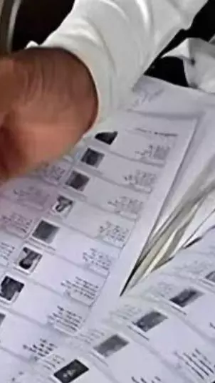 Voter list Voter list