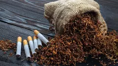 Dry cut tobacco leaf and cigarettes on a wooden table