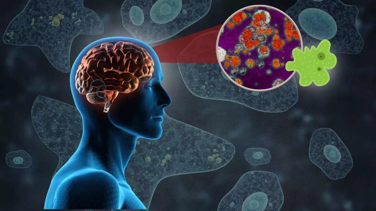 Kerala’s fight against the lethal brain-eating amoeba and a medical ‘miracle’