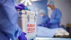 Organs of a 33-year-old man, who died in a road accident in Kerala on September 10, have saved six lives.