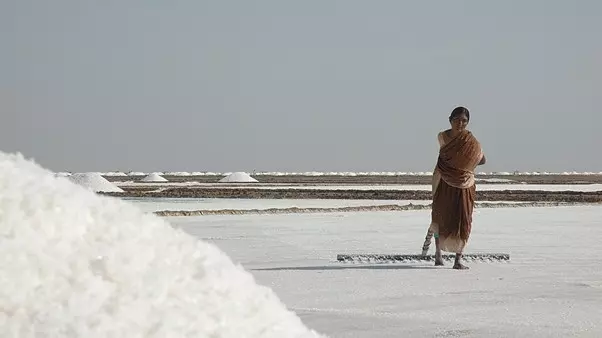 Why govt compensation continues to elude Gujarats poor salt workers hit hard by floods Why govt compensation continues to elude Gujarats poor salt workers hit hard by floods