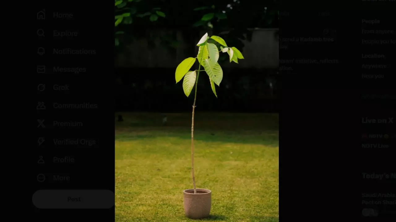 PM Modis birthday PM Modis birthday