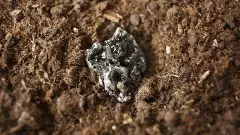 Rare earth mineral - stock photo