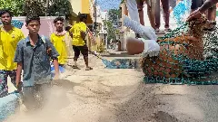 Chennai’s Narikuravar fight stray dog menace