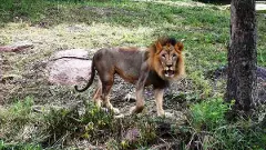 Hyderabad-Nehru Zoological Park