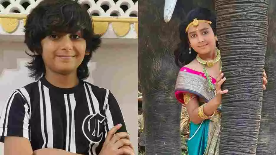 TV actor Veer Sharma, brother die in fire in Kota house