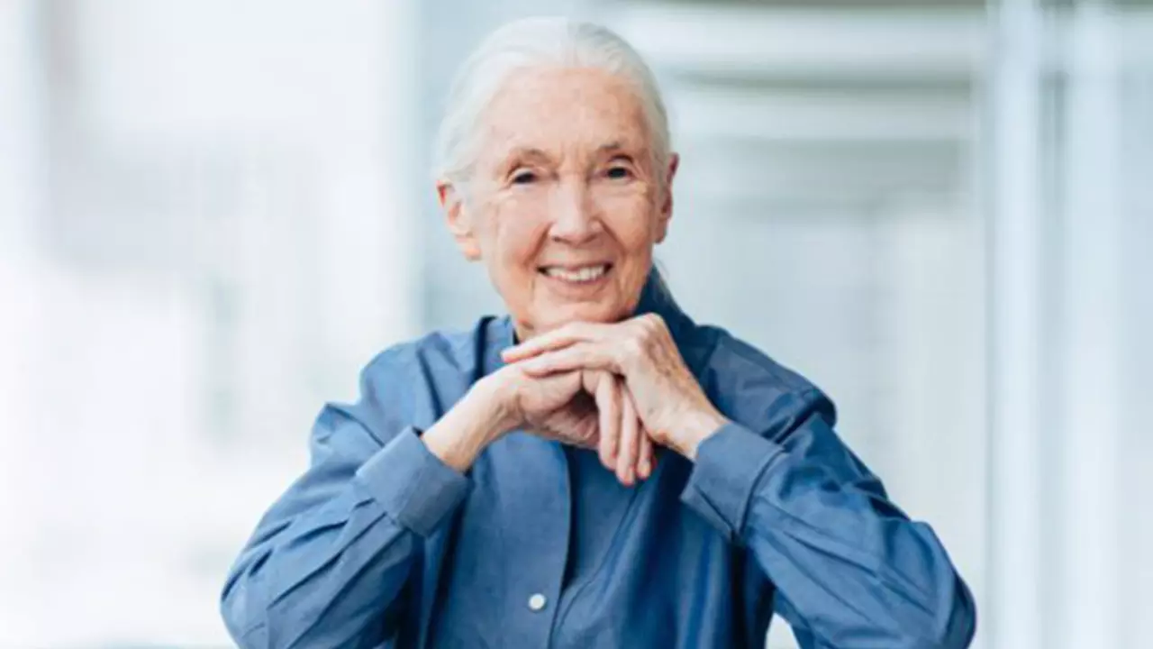 Jane Goodall