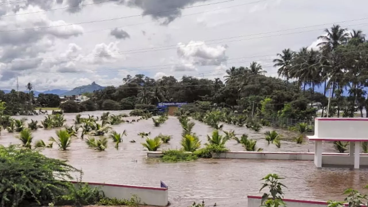 Tamil Nadu braces for monsoon: Red alert in 8 districts