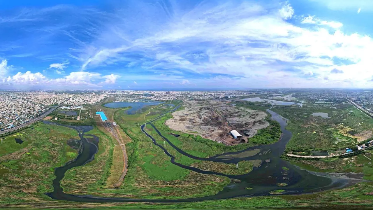 A view of the Pallikarnai marshland in Chennai, a Ramsar site. Photo: Tamil Nadu Wetlands Mission