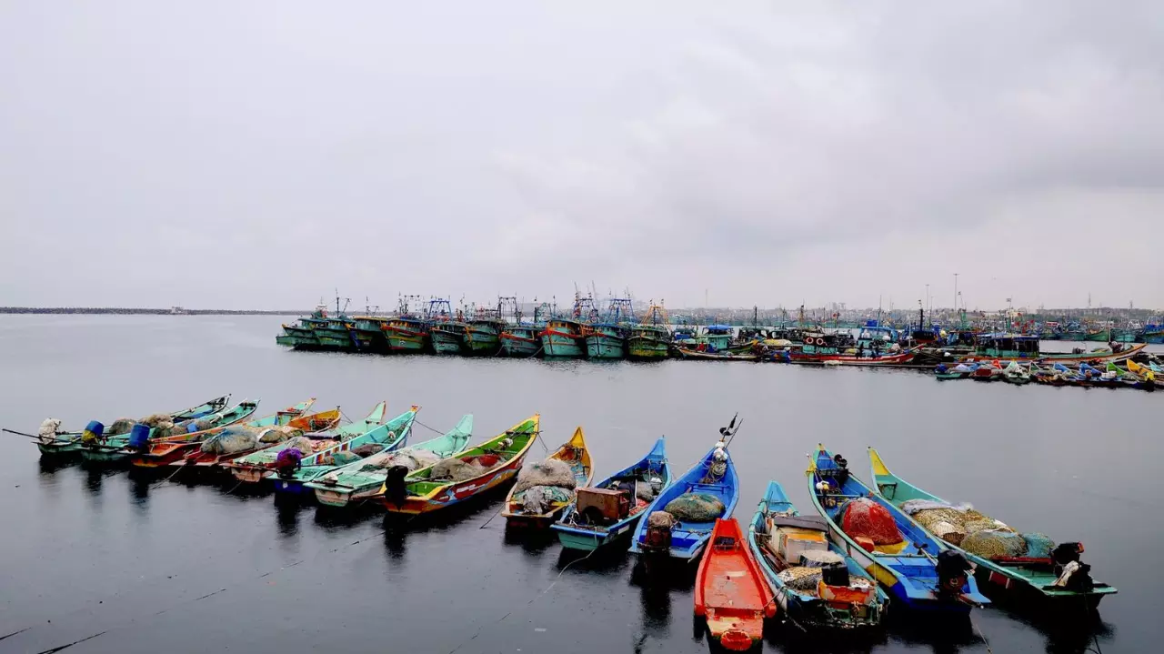 Cyclone Montha brings rain and gales to coastal Andhra; authorities on high alert