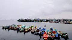 Cyclone Montha brings rain and gales to coastal Andhra; authorities on high alert