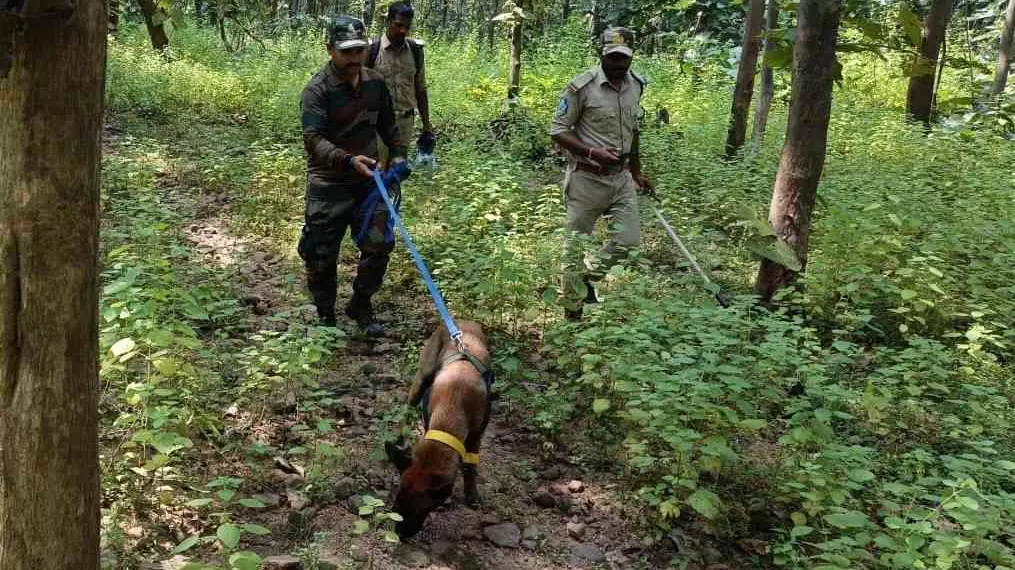 How sniffer dogs are helping Telangana forest officials combat teak smuggling, animal poaching