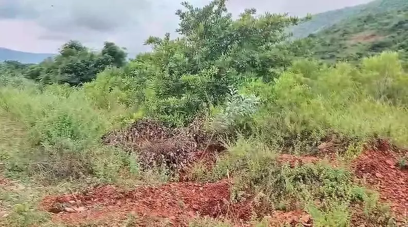 The site of the proposed Google data centre. Photo by B Koteswara Rao The site of the proposed Google data centre. Photo by B Koteswara Rao
