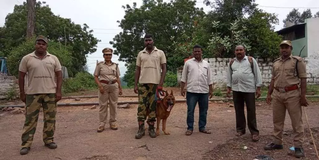 File photo of Bruno with forest officials at Amrabad reserve. Photo by special arrangement File photo of Bruno with forest officials at Amrabad reserve. Photo by special arrangement