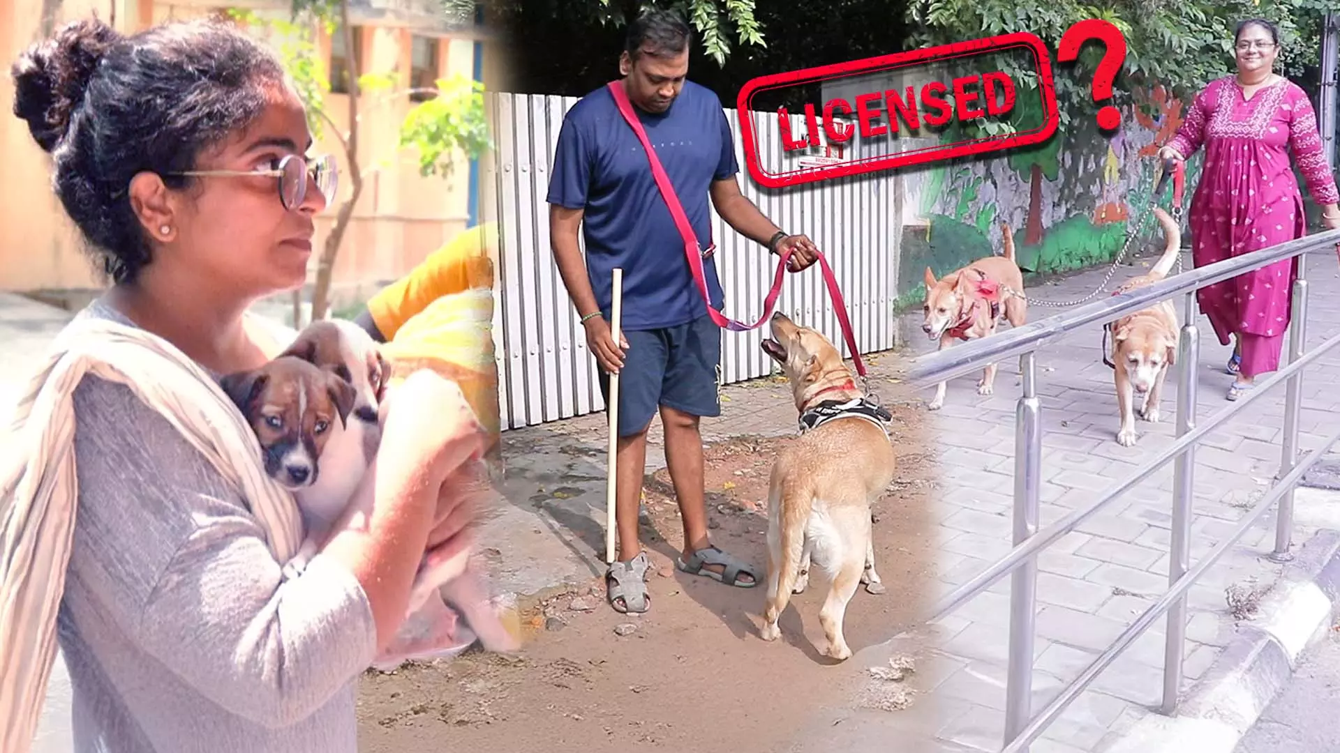 Rs 5,000 fine for unlicensed pets: Will it make owners more responsible? Rs 5,000 fine for unlicensed pets: Will it make owners more responsible?