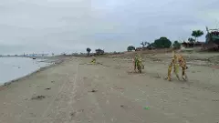 Banks at Karampur village along Ganges in Bihars Raghopur