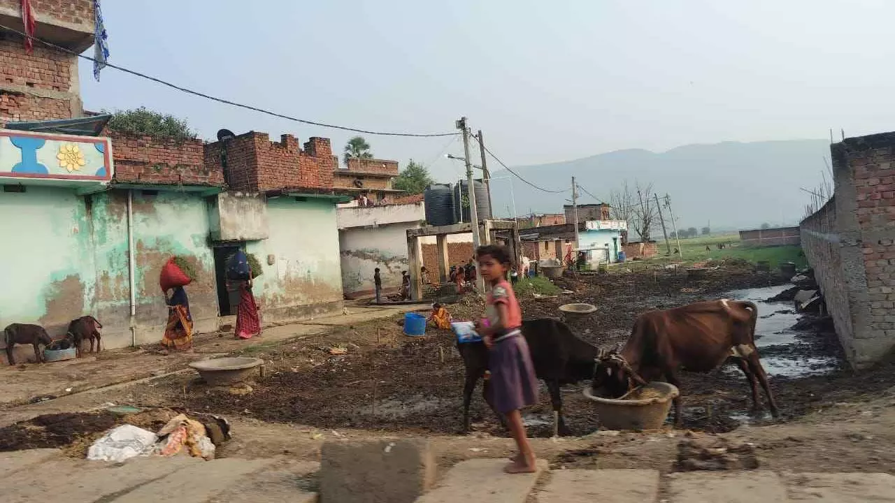 Bihar assembly elections 2025