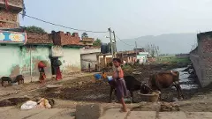 Bihar assembly elections 2025