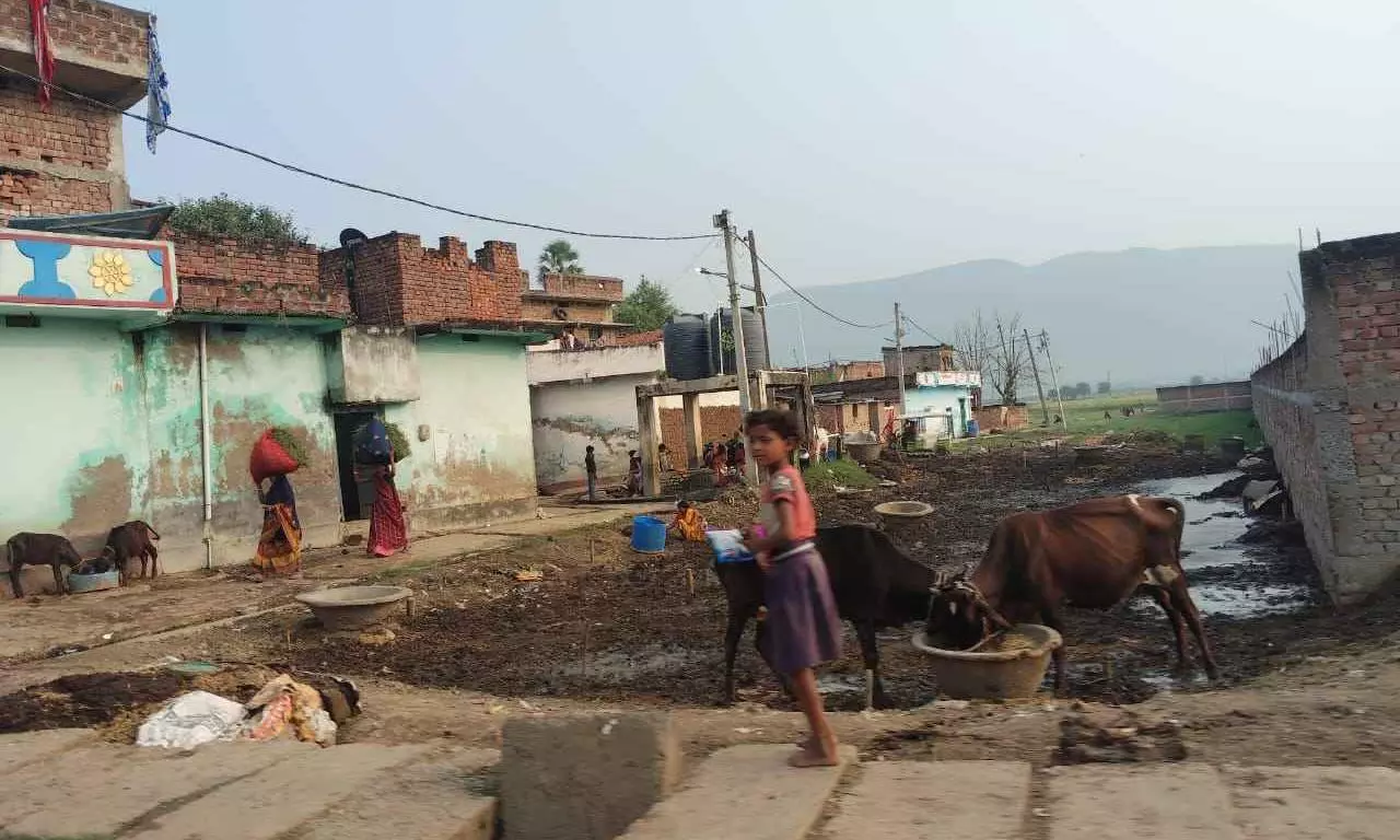 Bihar assembly elections 2025