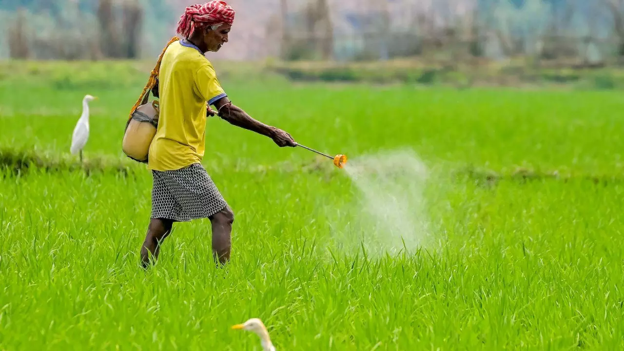 Paddy procurement in Tamil Nadu