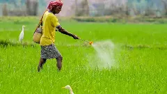 Paddy procurement in Tamil Nadu