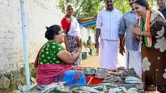 Kerala local body elections